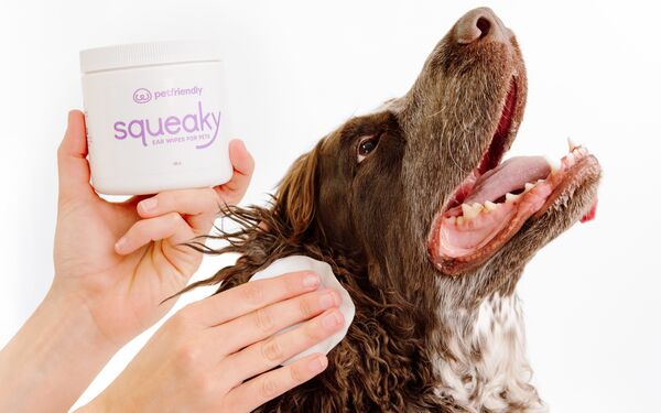 Squeaky Ear Wipes for Dogs