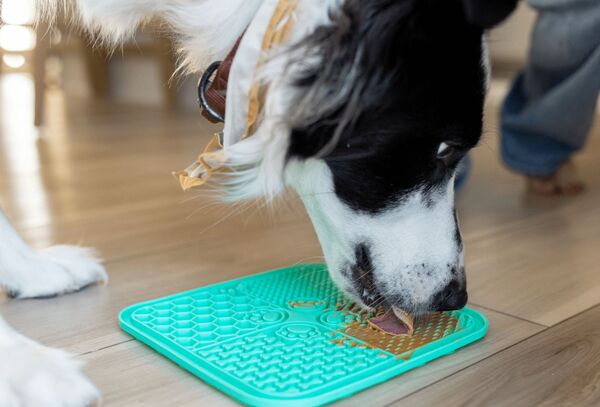 PetFriendly Lick Mat