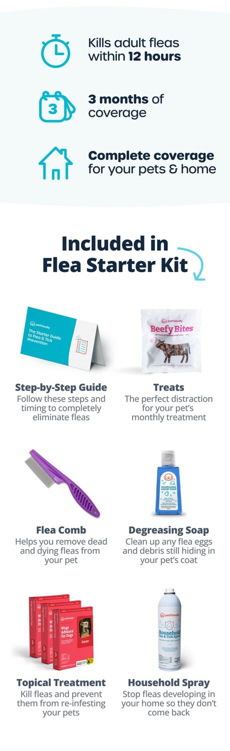 What's included in your starter kit