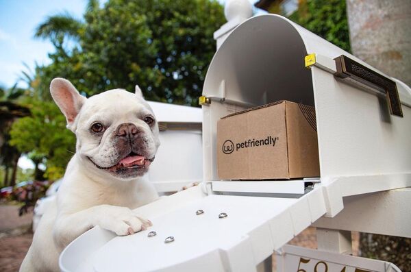 PetFriendly subscription box