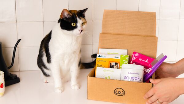 PetFriendly Box