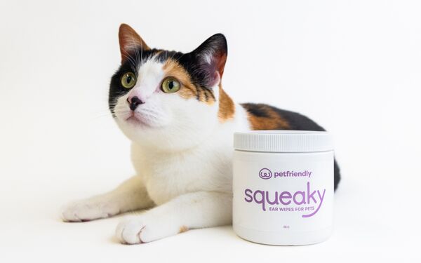 Squeaky Ear Wipes for Cats