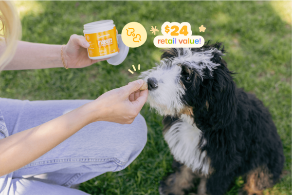 2 jars of Mobility hip + joint supplements: It's the most active time of year for your furry friend! Keep them moving and grooving with this daily joint supplement packed with glucosamine, MSM, and chondroitin. An easy and delicious way to support strong, flexible hips and joints for hikes, beach runs, backyard ball games, and everything in between.