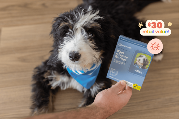3-pack of Wags Advance® Flea and Tick Prevention: It’s pests’ favorite time of year! This 3-pack of vet-approved flea and tick treatments will keep your dog protected so they can romp outside without worrying about itchy bites or infestations. Easy to apply, vet-formulated, and EPA-approved!