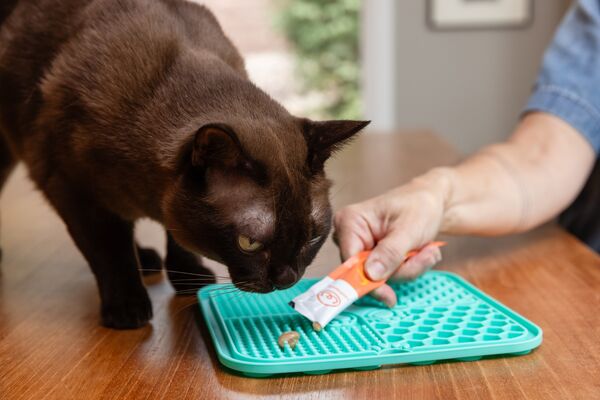 Enjoy treats on lick mat