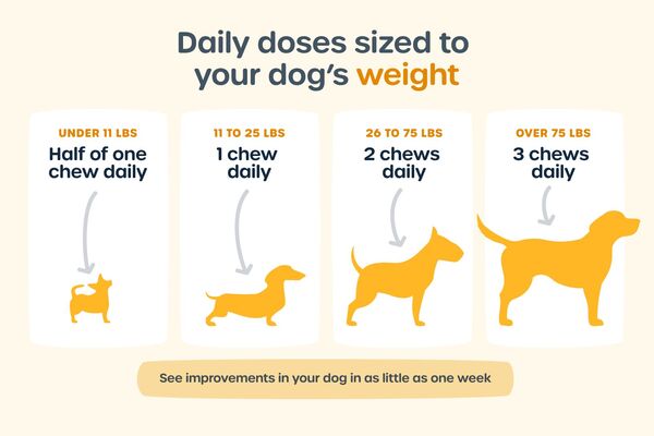 Daily doses sized to your dog’s weight: under 11 lbs - Half of one chew daily, 11 to 25 lbs - 1 chew daily, 26 to 75 lbs - 2 chews daily, Over 75 lbs - 3 chews daily. See improvements in your dog in as little as one week