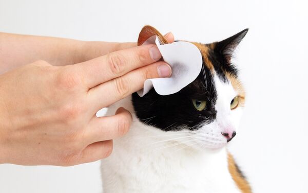 Gentle Ear Wipes for Pets