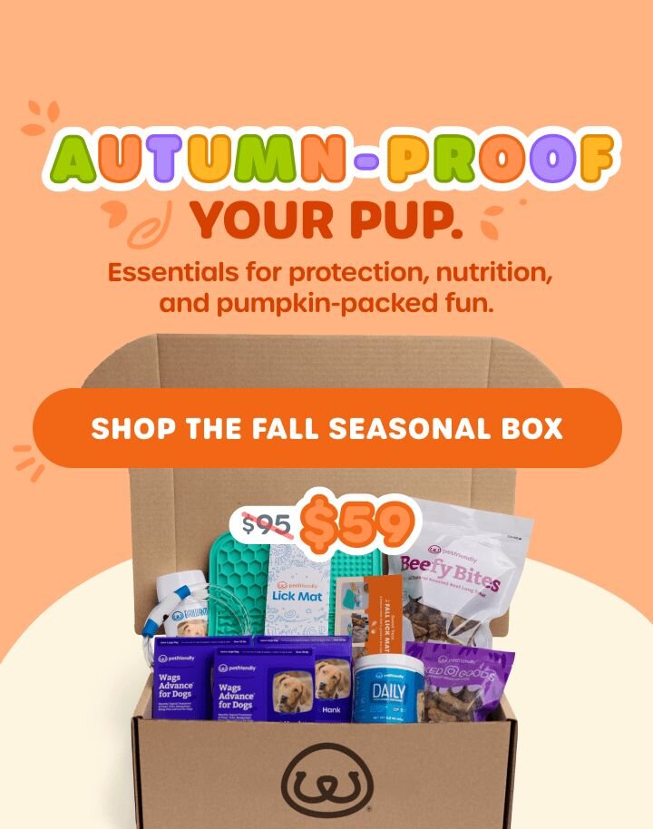 AUTUMN-PROOF YOUR PUP. Essentials for protection, nutrition, and pumpkin-packed fun. SHOP THE FALL SEASONAL BOX