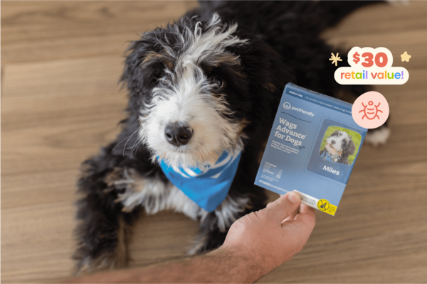 Wags Advance® Flea and Tick Prevention: As temperatures rise, so do fleas and ticks. This 3-pack of pest prevention will allow your dog to get back outside and stay flea- and tick-free, all summer long. It's easy to apply, EPA-approved, and created by vets.
