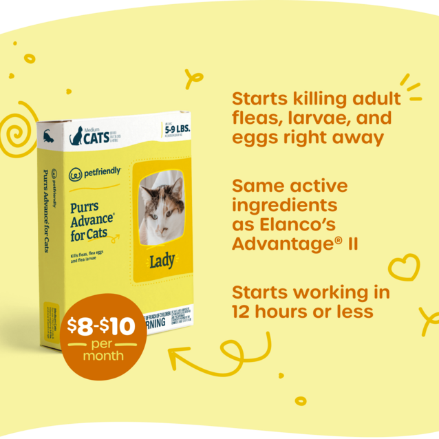 Kills adult fleas, larvae, and eggs, starts working in 12 hours or less, same active ingredients as Elanco's Advantage II