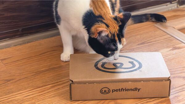 PetFriendly Box