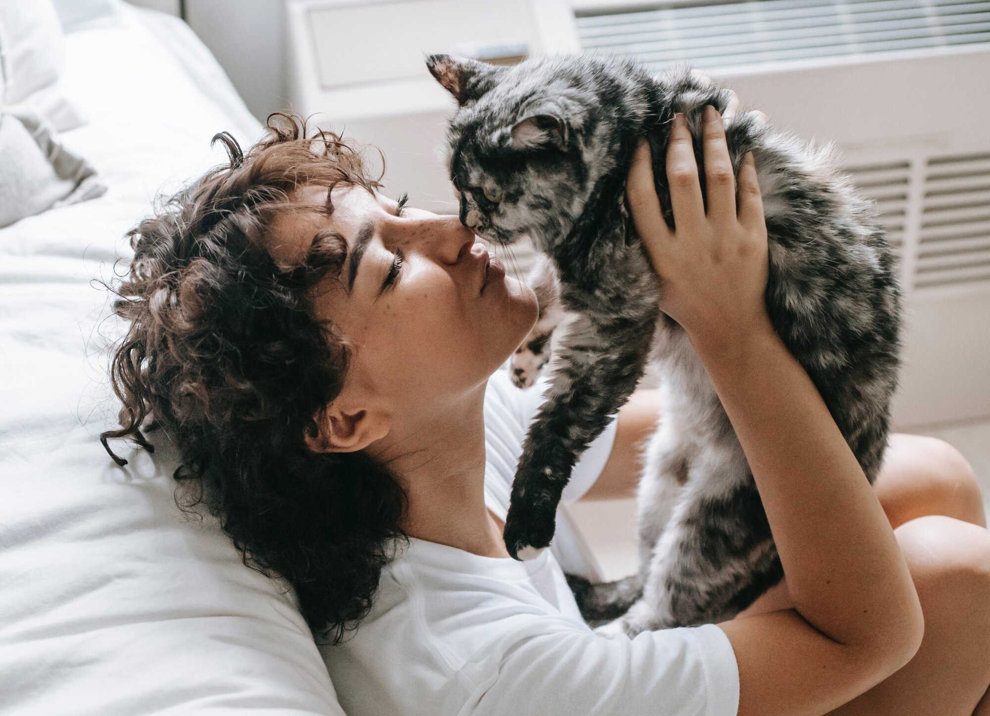 How to Bond With Your Cat for Lifelong Happiness: 8 Tips