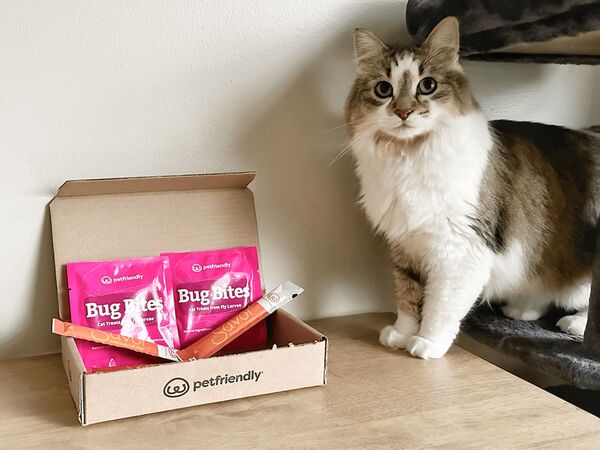 The Cat Bundle: The Cat Bundle features crunchy Bug Bites® (made with real bugs!) and three Savor Squeezable Treats in chicken & liver or salmon flavors. Both options are packed with real meat and protein to support your cat’s health. Ideal for hand-feeding, food toppers, or training, this mix keeps cats curious and satisfied.