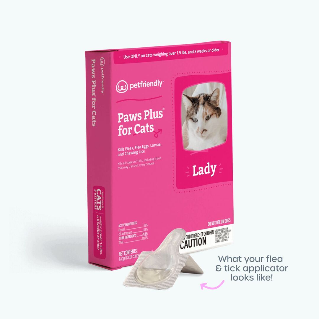 What your flea & tick applicator looks like!