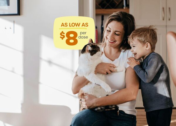 Safe and Effective Flea Control Products