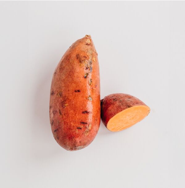 Sweet Potato