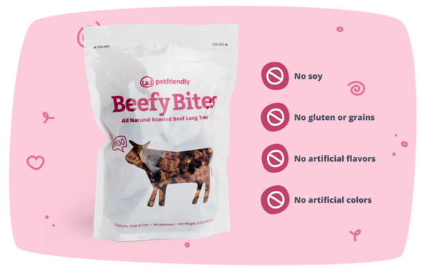 Beefy Bites - No soy, no gluten or grains, no artificial flavors, no artificial colors