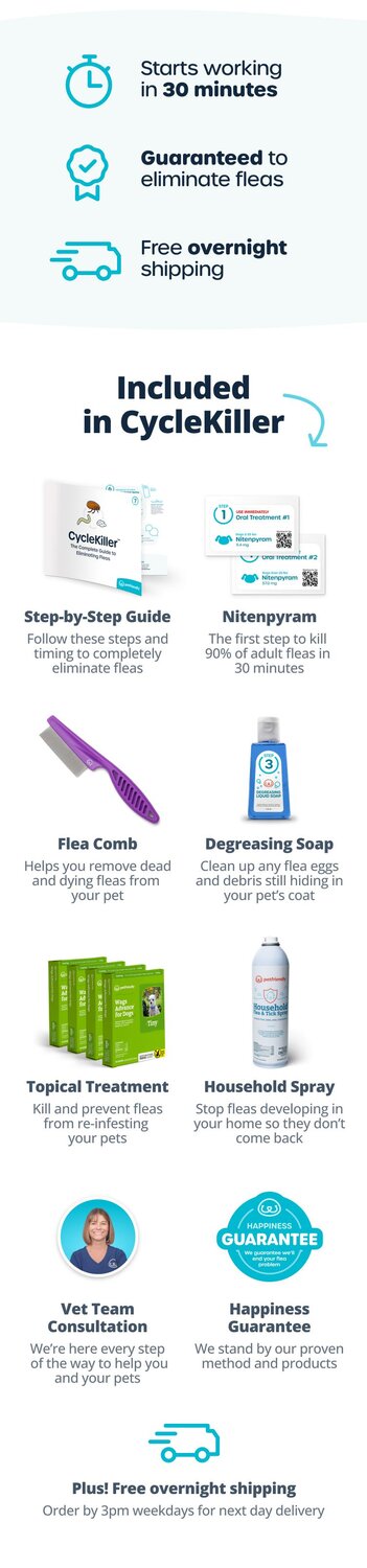 Everything you need to eliminate fleas