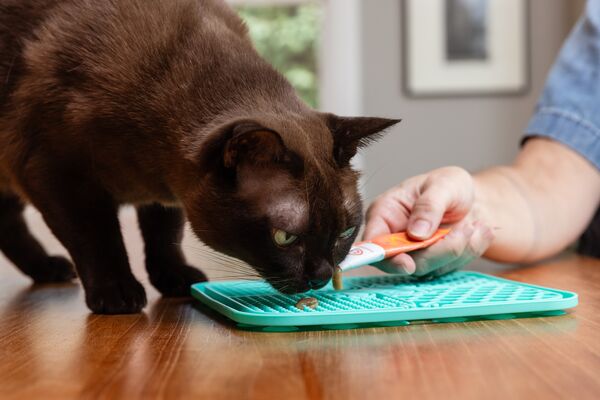 how to use a lick mat