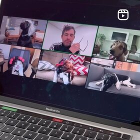 PetFriendly team on Zoom