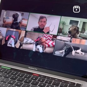 The PetFriendly team on Zoom