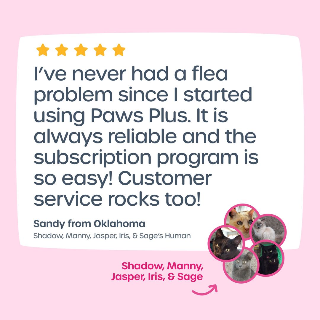 Satisfied customer