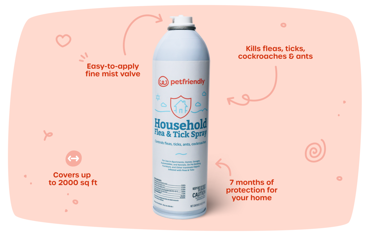 Easy-to-apply fine mist valve, covers up to 2000 sq ft, kills fleas, ticks, cockroaches & ants, 7 months of protection for your home