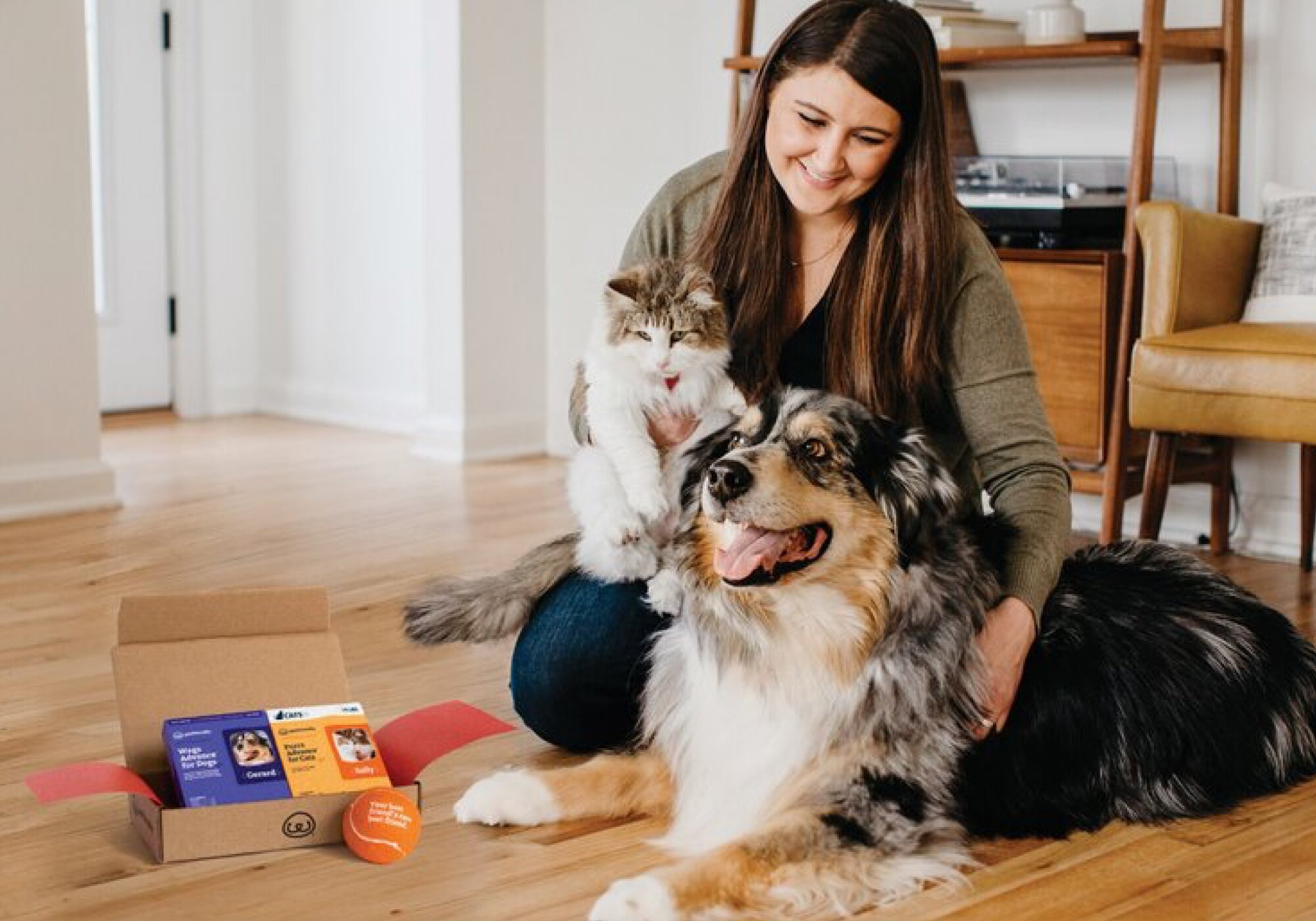 When and How Does Flea Medicine Work on Dogs and Cats