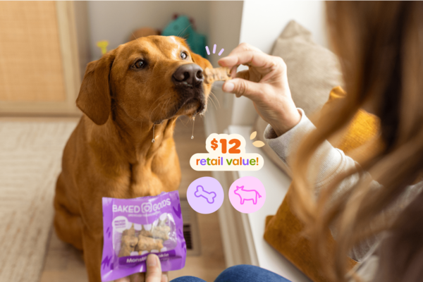 Fall treats: Monster Cookie dog treats are truly the perfect dog treat for Halloween season. Those plus our large bag of Beefy Bites — made with 100% real beef lung (no additives!) — are sure to make this season the zoomiest one yet.