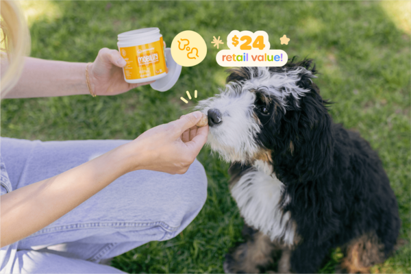 2 jars of Mobility Hip & Joint Supplements: It's the most active time of year for your furry friend! Mobility is a daily supplement that helps keep your pup's hips & joints in tip-top shape as they zoom, romp, harrumph, and gallop their way through summer.