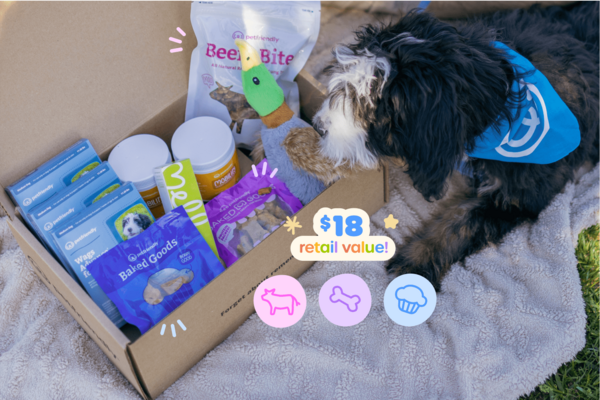 Summer snacks: What’s summer without snacks? Your pup will drool over this trio of tasty treats: chewy, protein-packed Beefier Beefy Bites; our upcycled Monster Cookie treats; and Blueberry Bites made from real, human-grade bakery scraps. Whether you're training, treating, or just spoiling them silly — this bundle brings the flavor.