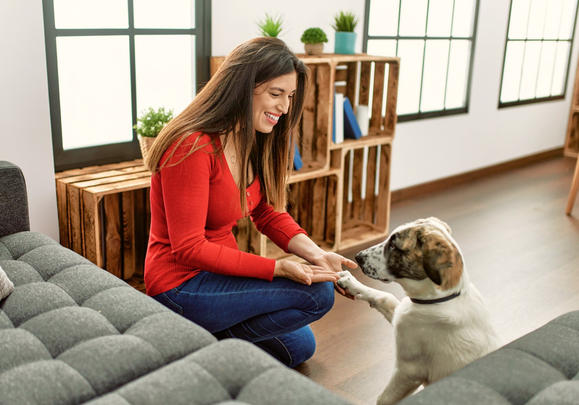 45 Dog Training Tips for First-Time Pet Parents