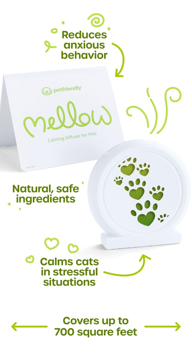 Benefits of Mellow