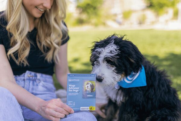 Dog and dog mom sitting on the grass with topical flea & tick treatment