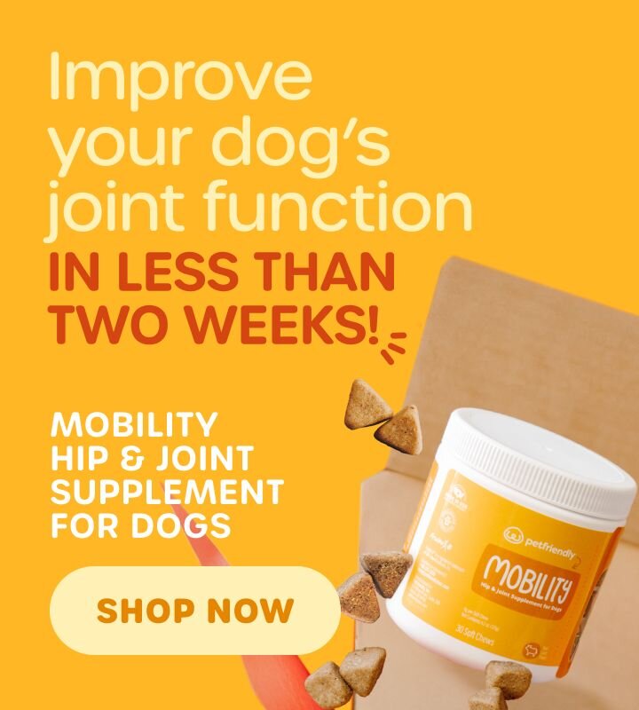 Improve your dog's joint function in less than two weeks! Mobility hip & joint supplement for dogs. SHOP NOW