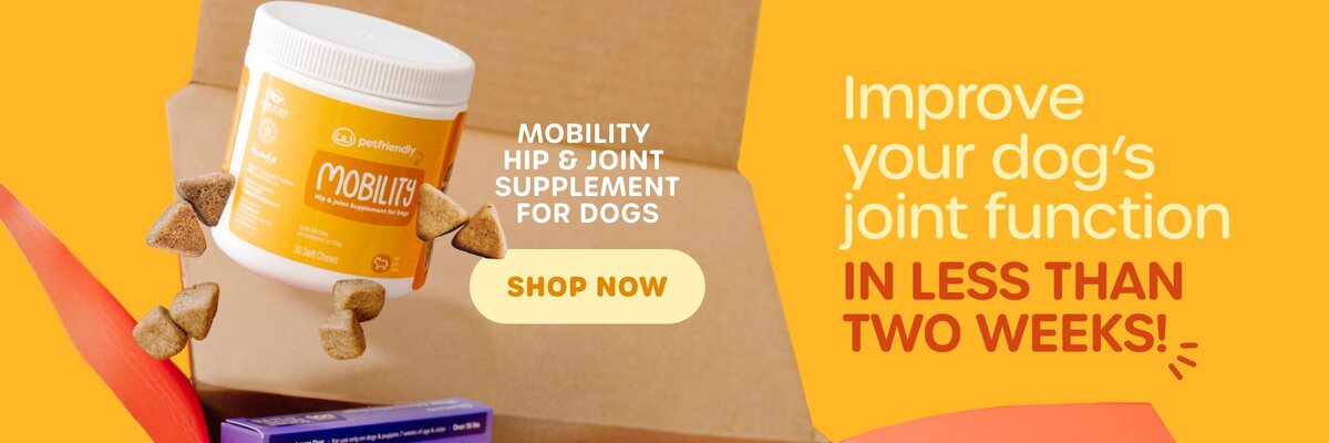 Improve your dog's joint function in less than two weeks! Mobility hip & joint supplement for dogs. SHOP NOW