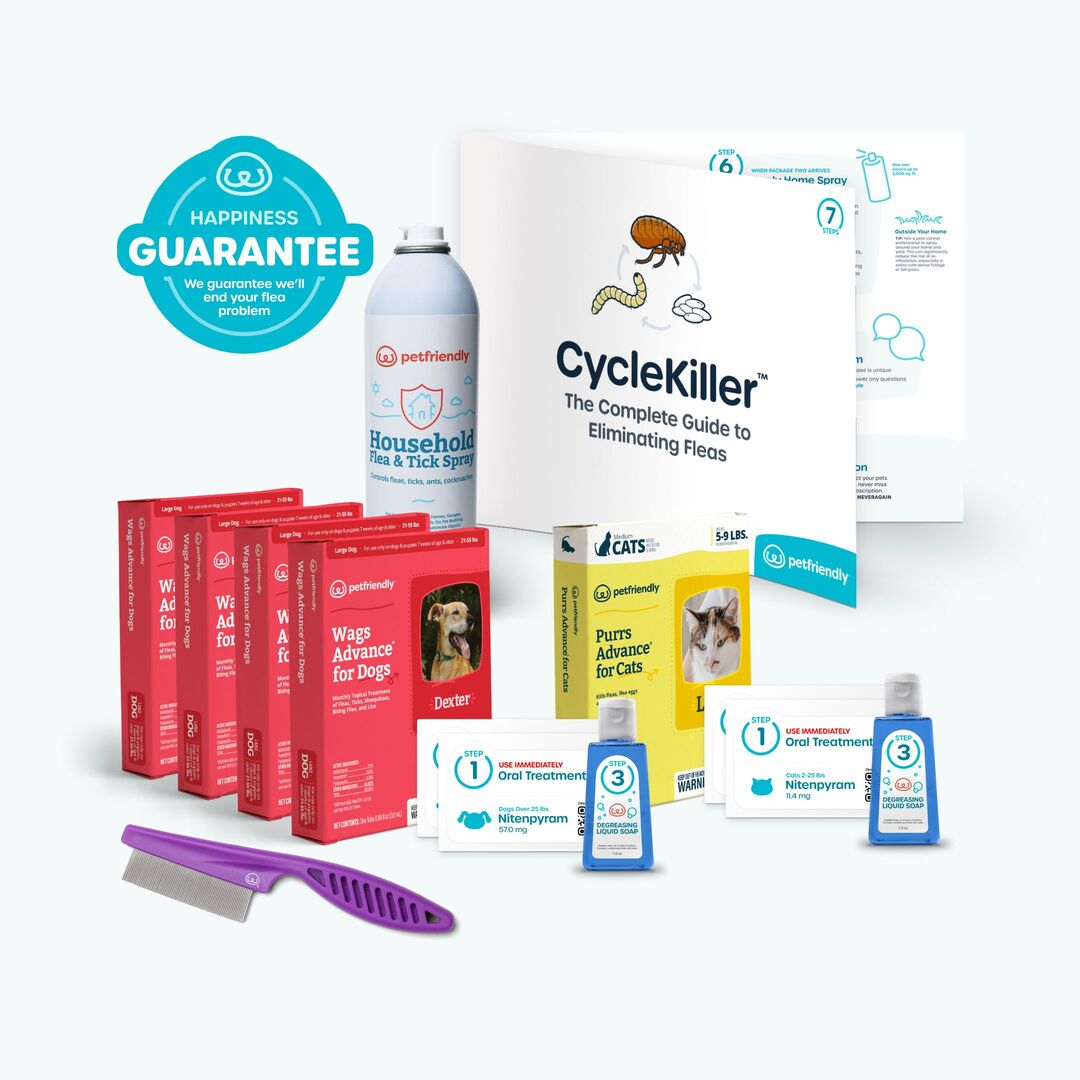 Everything you need to get rid of a flea problem