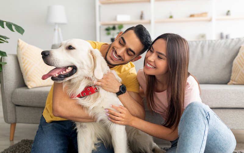 An image of a couple hugging their pet in their home.