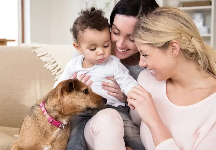 two women, a baby, and a dog with a pink leash play on the couch.
