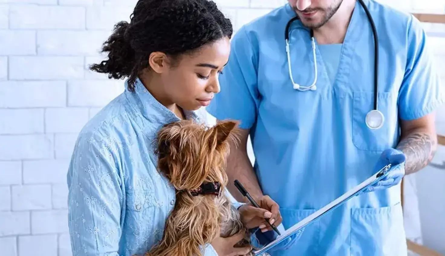 A dog owner signs forms at the vet's office so her pet can receive medical treatment.