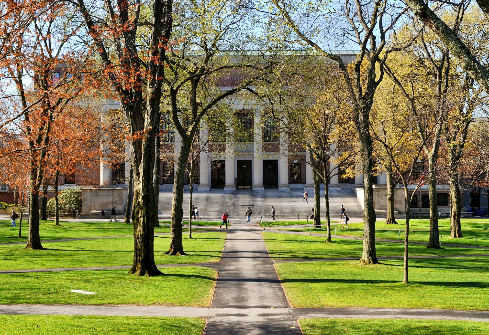 Common App welcomes new members for 2019-20 application season