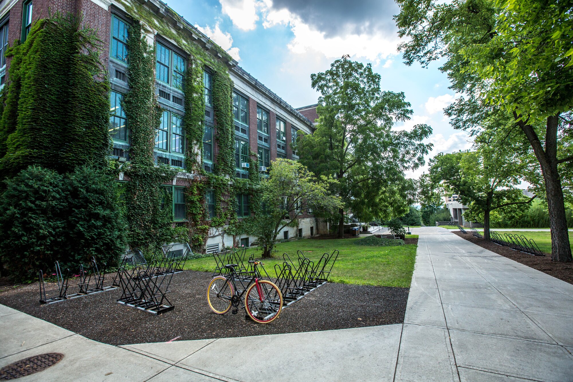Common App welcomes over 60 new colleges and universities for the 2021-2022 application season