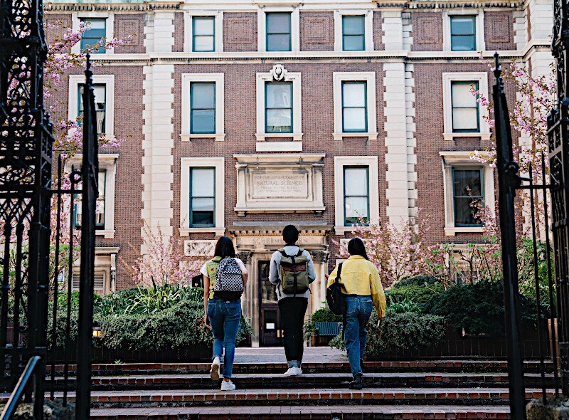 Common App launches 2023–2024 application season with 50 new member colleges and universities