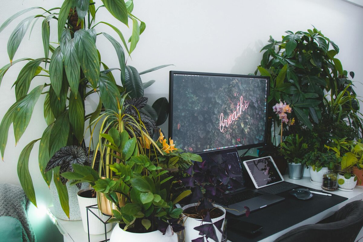 laptop with flowers around it 