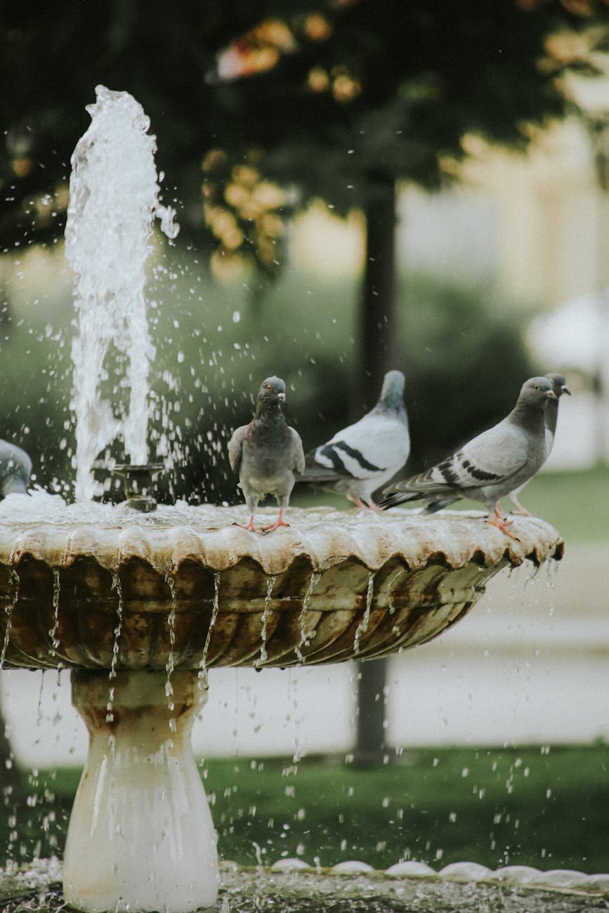 3 pigeons sitting on a water fountain 