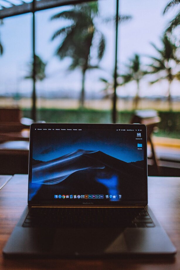 laptop with palm trees behind