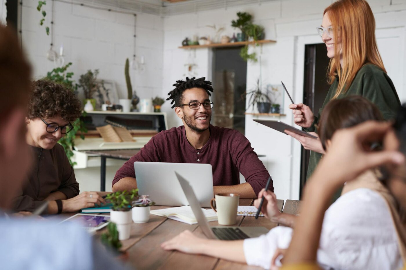 Sole Trader or Limited Company