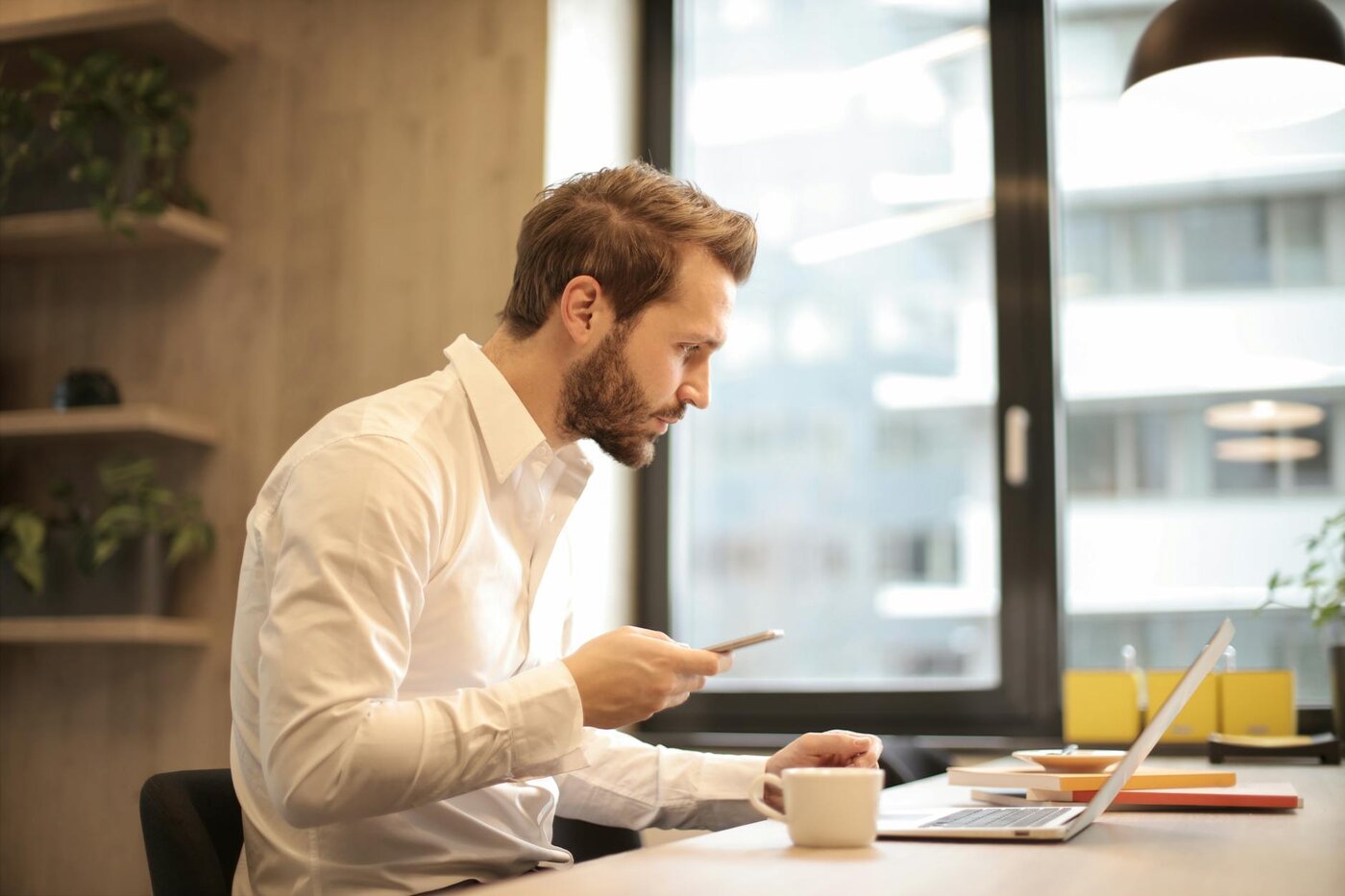 Accountant in Somerset