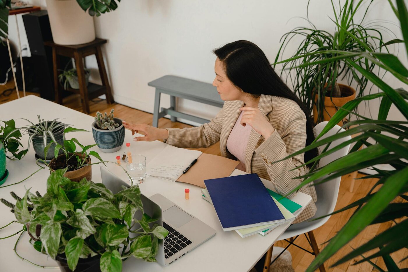 Can I Claim Self Assessment Accountant Fees as an Expense