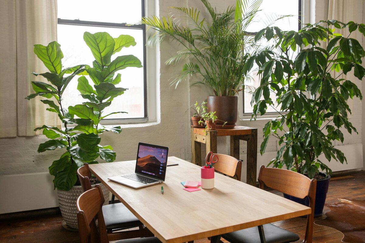 Laptop on desk